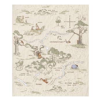 Papier peint Winnie the Pooh Map