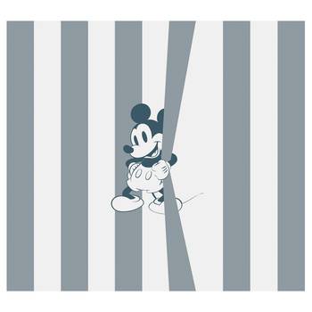 Fotobehang Mickey Offbeat