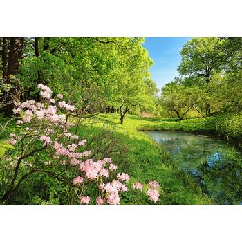 Fotobehang Spring