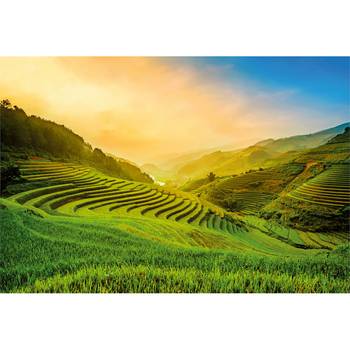 Fotobehang Rijstveld Landschap