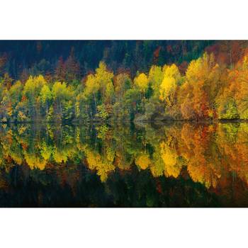 Fotobehang Meer Herfst