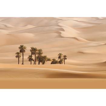 Fotobehang Duinen Woestijn Landschap