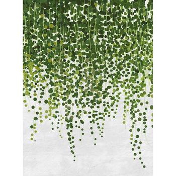 Papier peint Hanging Plants