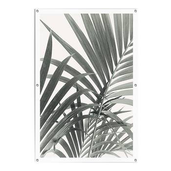 Affiche extérieur Feuilles de palmier