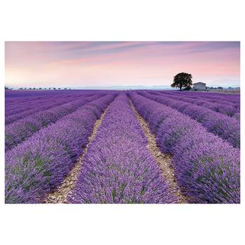 Fotobehang Provence