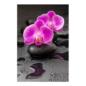 Vinylteppich Orchideenblüten auf Steinen