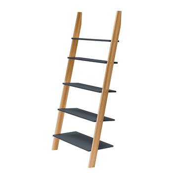 Ladderkast Ashme type A
