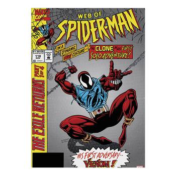 Leinwandbild Web of Spiderman