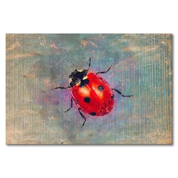 Afbeelding Ladybug