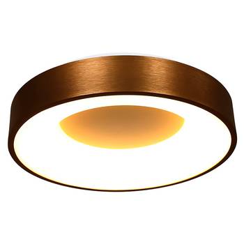 Lampada da soffitto LED Ringlede