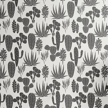 Papier peint Kaktus