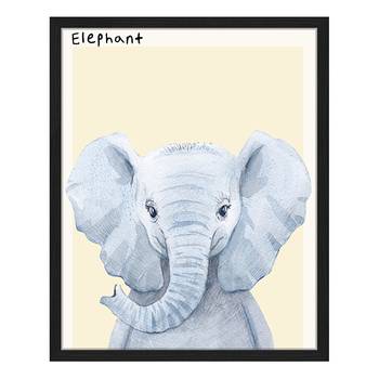 Bild Elephant