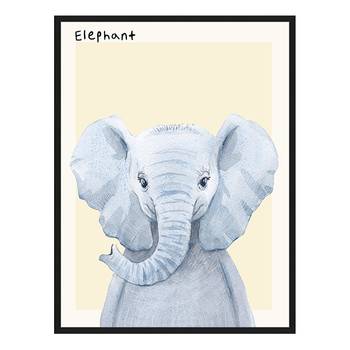 Bild Elephant