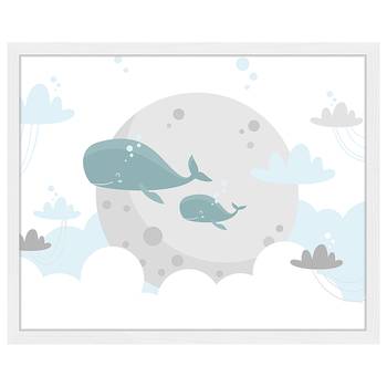 Bild Whale Ilustration