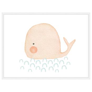 Bild Baby Whale