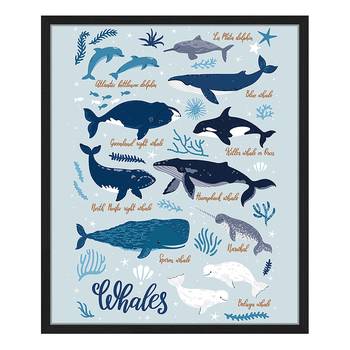 Tableau déco All Kind Of Whales