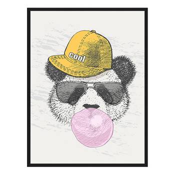 Bild Panda With A Cap