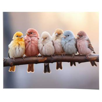 Poster Pastel Birds