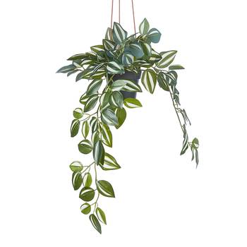 Plante suspendue FLORISTA en pot de 50 c