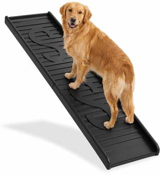 Rampe pour chien pliable plastique