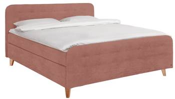 Nordic Box Boxspringbett TSV