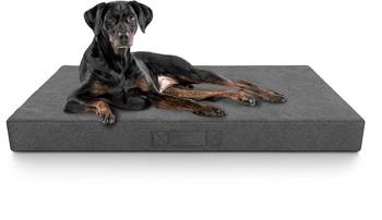 Hundematte Inkontinenz