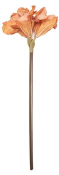 Kunstblume 53359