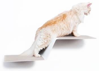Wand-Katzenstufe WAVE