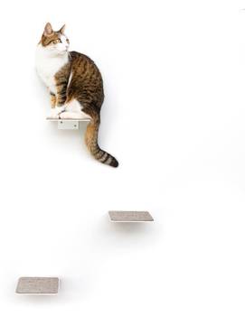 Wand-Katzentreppe STEPS (3-teilig)