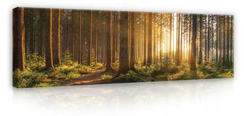 Leinwandbild Wald Sonne Natur Panorama
