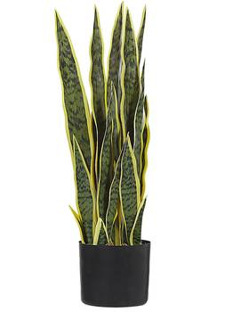 Plante artificielle SNAKE PLANT