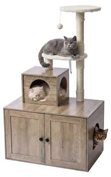 Krabpaal met kattenkast