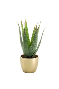 Künstliche Aloe Patricia