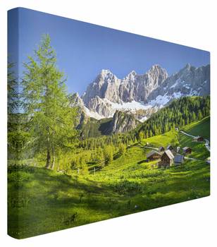 Akustikbild Almwiese