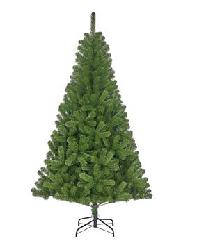 Sapin de Noël Charlton