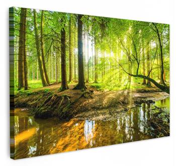 TABLEAU SUR TOILE Forêt