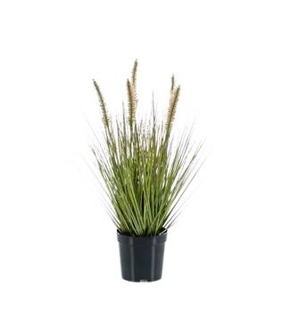 Künstliches Lampenputzergras Paulin