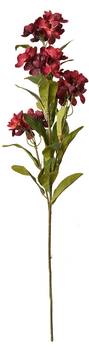 Kunstblume 48113