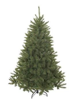 Weihnachtsbaum Bristlecone