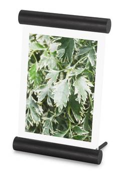 Cadre photo Scroll L