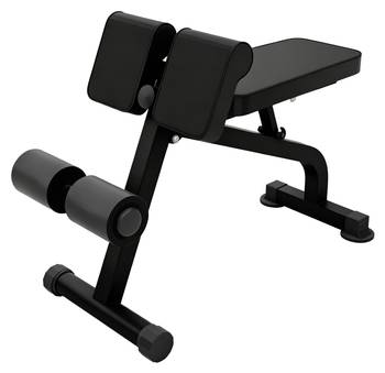 Trainingsbank Hyperextension & Curls