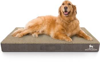 Hundematte Ellenie