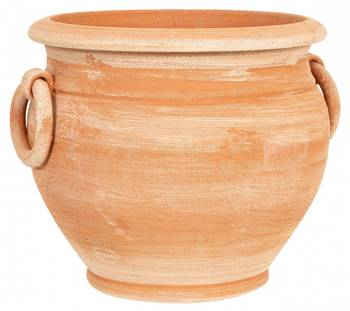 CASPO Vase