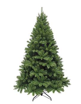 Weihnachtsbaum Forrester