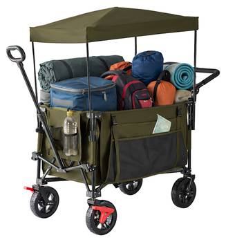 Faltbarer Bollerwagen mit Dach