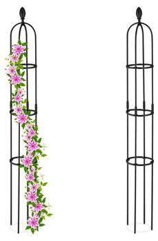 Lot de 2 Trellis 160 cm