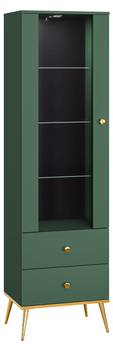 Vitrinenschrank FORT SC55 1D2D