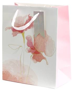 Geschenktüte CYMKA A