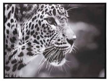 Bedruckte Leinwand LEOPARD