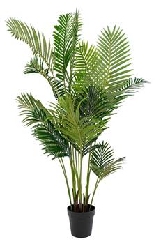 Künstliche Pflanze Areca